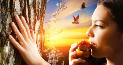 Illustration empiricism - Image 1