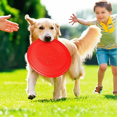 Illustration fetch - Image 1