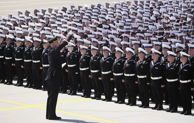 Illustration parade - Image 1