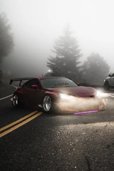 Illustration dragged - Image 2