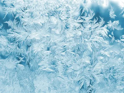 Illustration feathers - Image 2