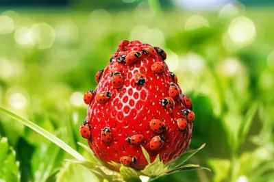 Illustration ninety - Image 1