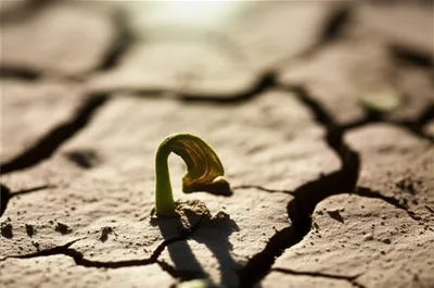 Illustration abortive - Image 1