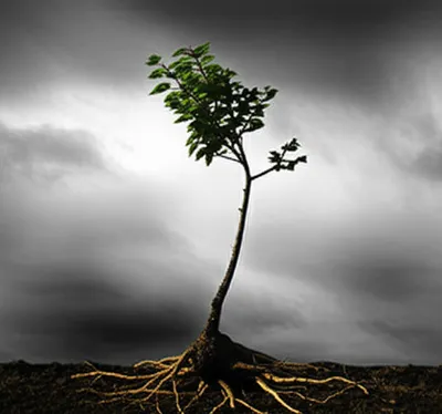 Illustration submission