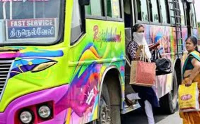 Illustration ply - Image 2