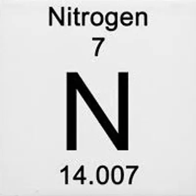 Illustration nitrogen - Image 2