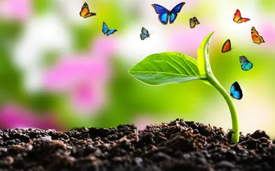 Illustration childhood - Image 1