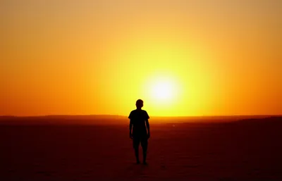 Illustration solitary - Image 1