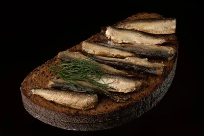 Illustration sprats - Image 2