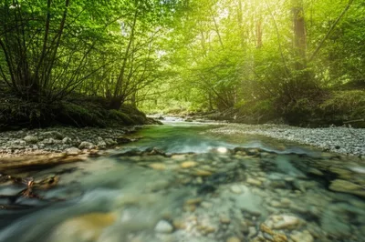 Illustration purging - Image 1