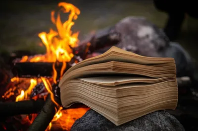 Illustration book - Image 1