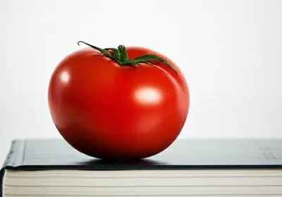 Illustration squashed - Image 1