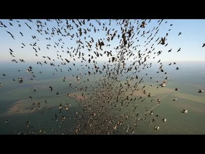 Illustration kettle - Image 1