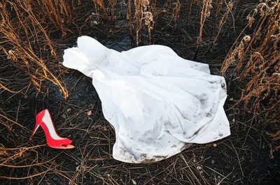 Illustration adulterated - Image 1