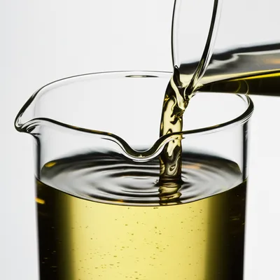 Illustration full - Image 1