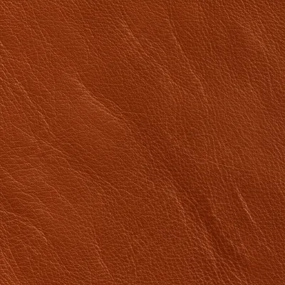 Illustration morocco - Image 1