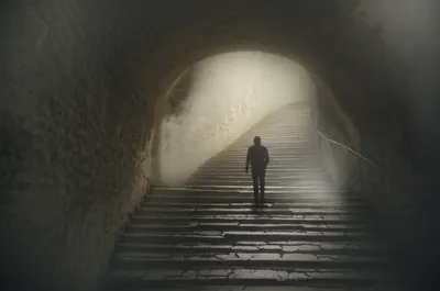 Illustration descendent - Image 1