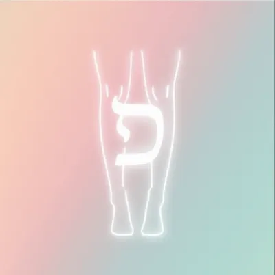 Illustration shins - Image 1