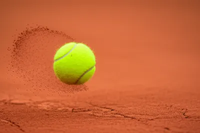 Illustration hangs - Image 1