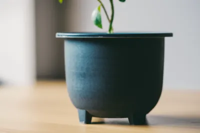 Illustration insecure - Image 1