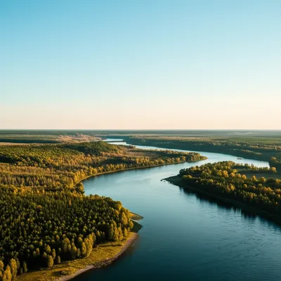 Illustration continually