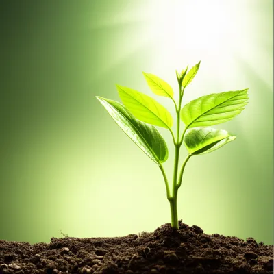 Illustration run - Image 1