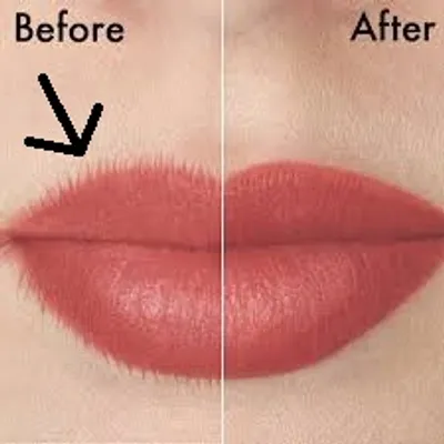 Illustration feather - Image 2