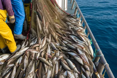 Illustration shot - Image 1