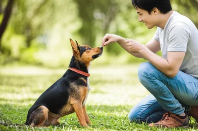 Illustration shaping - Image 1