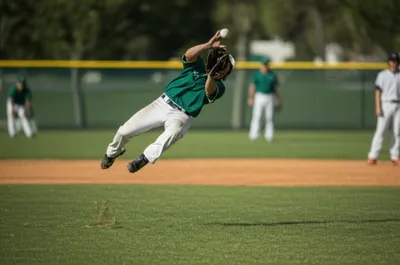 Illustration outfield - Image 1