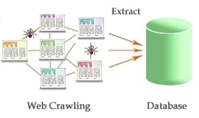 Illustration spider - Image 2