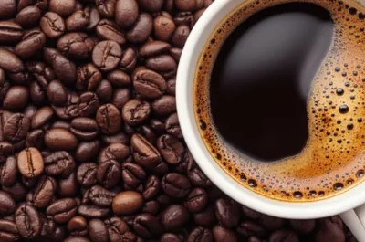 Illustration robustas - Image 1