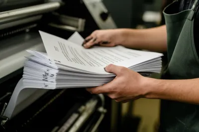 Illustration flies - Image 1