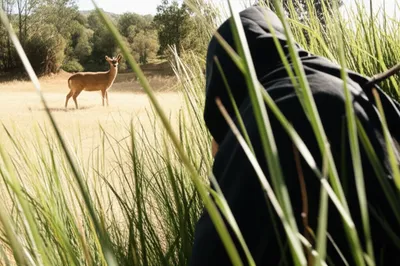 Illustration stalk - Image 1