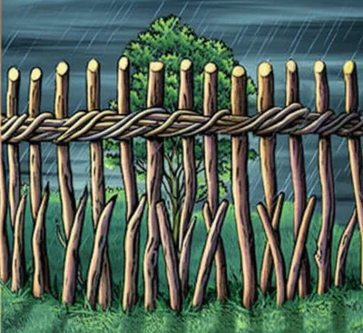 Illustration staking - Image 1