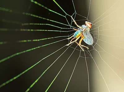 Illustration stuck - Image 1