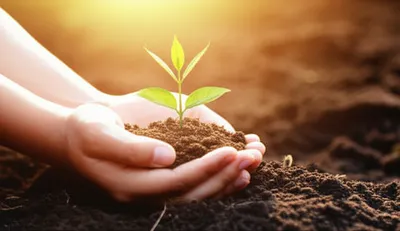 Illustration handling - Image 1