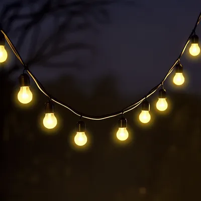 Illustration festoon - Image 1