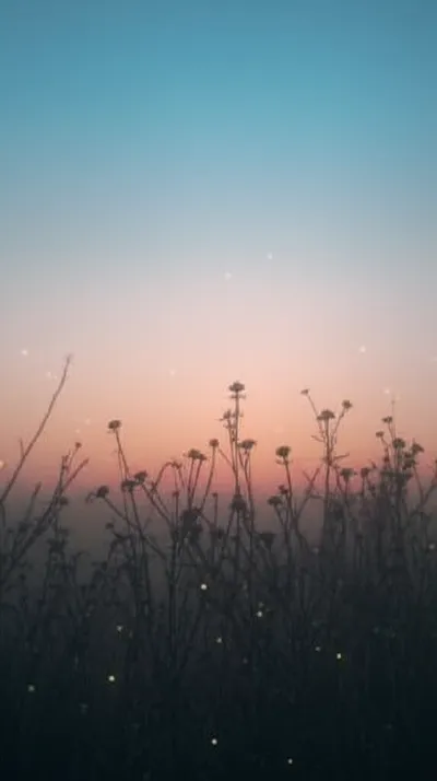 Illustration dusky - Image 1