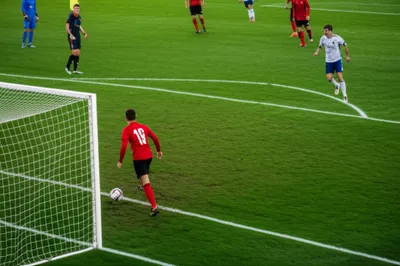 Illustration seagull - Image 1