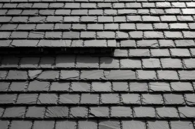 Illustration domination - Image 1