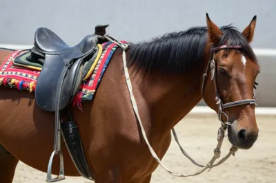 Illustration panel - Image 1