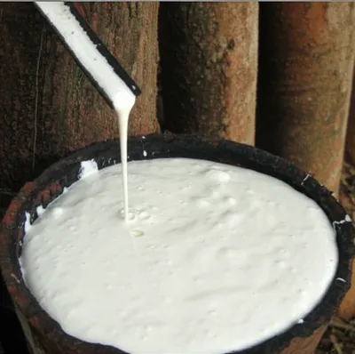 Illustration latex - Image 1