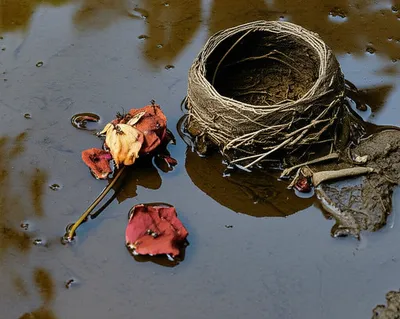 Illustration lousy - Image 1