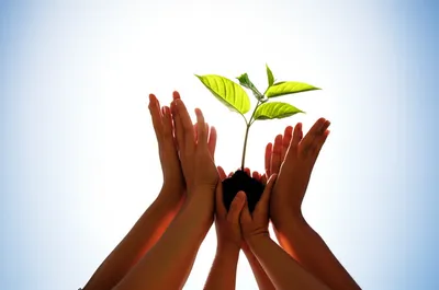 Illustration affirmative - Image 1