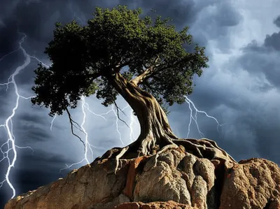 Illustration proof - Image 1