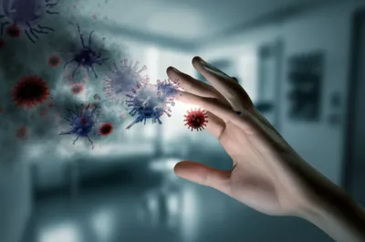 Illustration contracts - Image 1