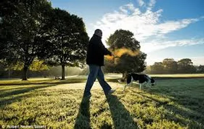 Illustration crisp - Image 2