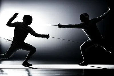 Illustration fence - Image 1