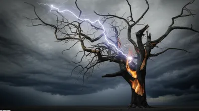 Illustration visits - Image 1